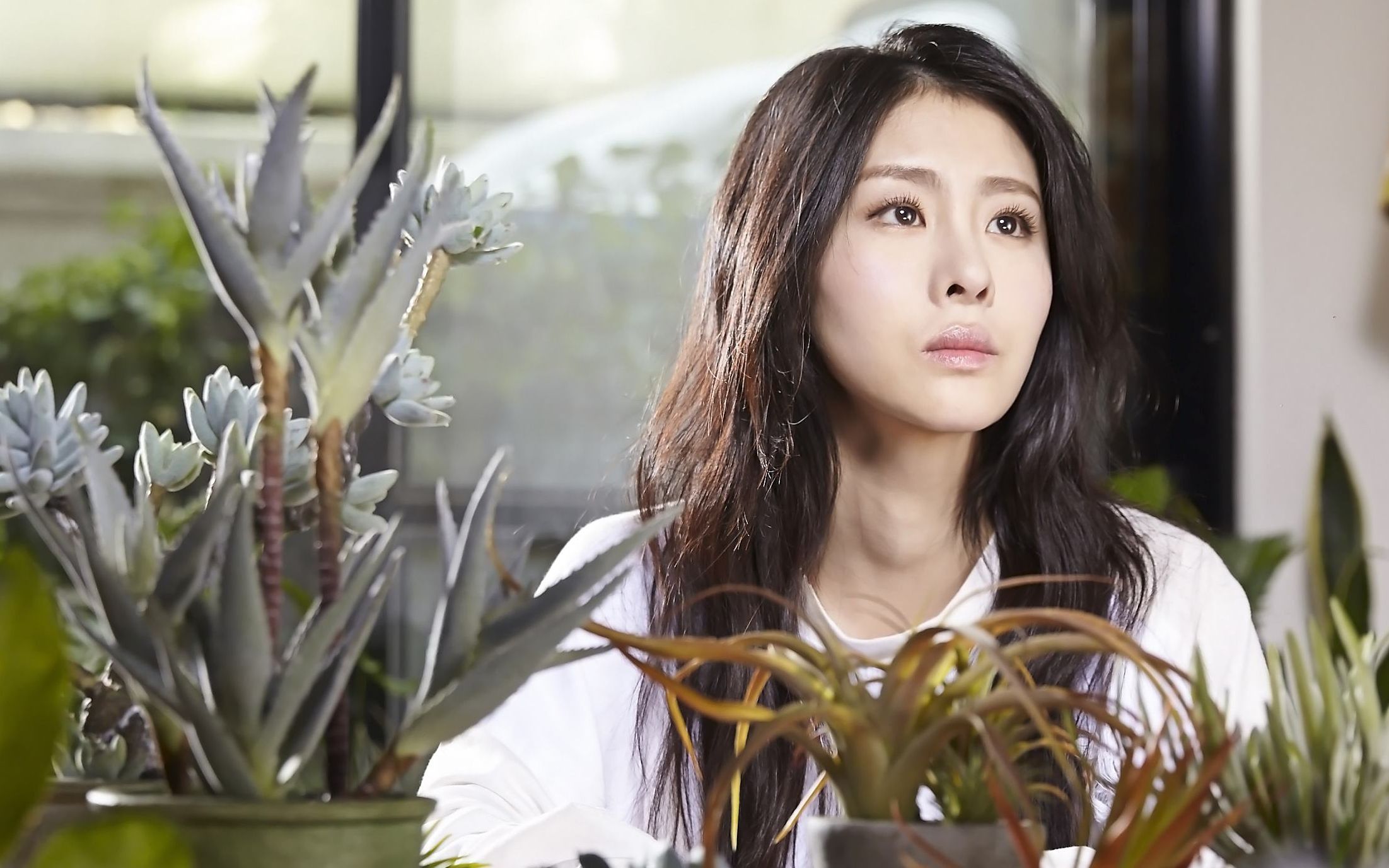 张杰-最接近天堂的地方