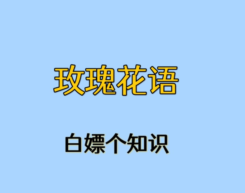 玫瑰花的这些花语你都知道哪些?哔哩哔哩bilibili