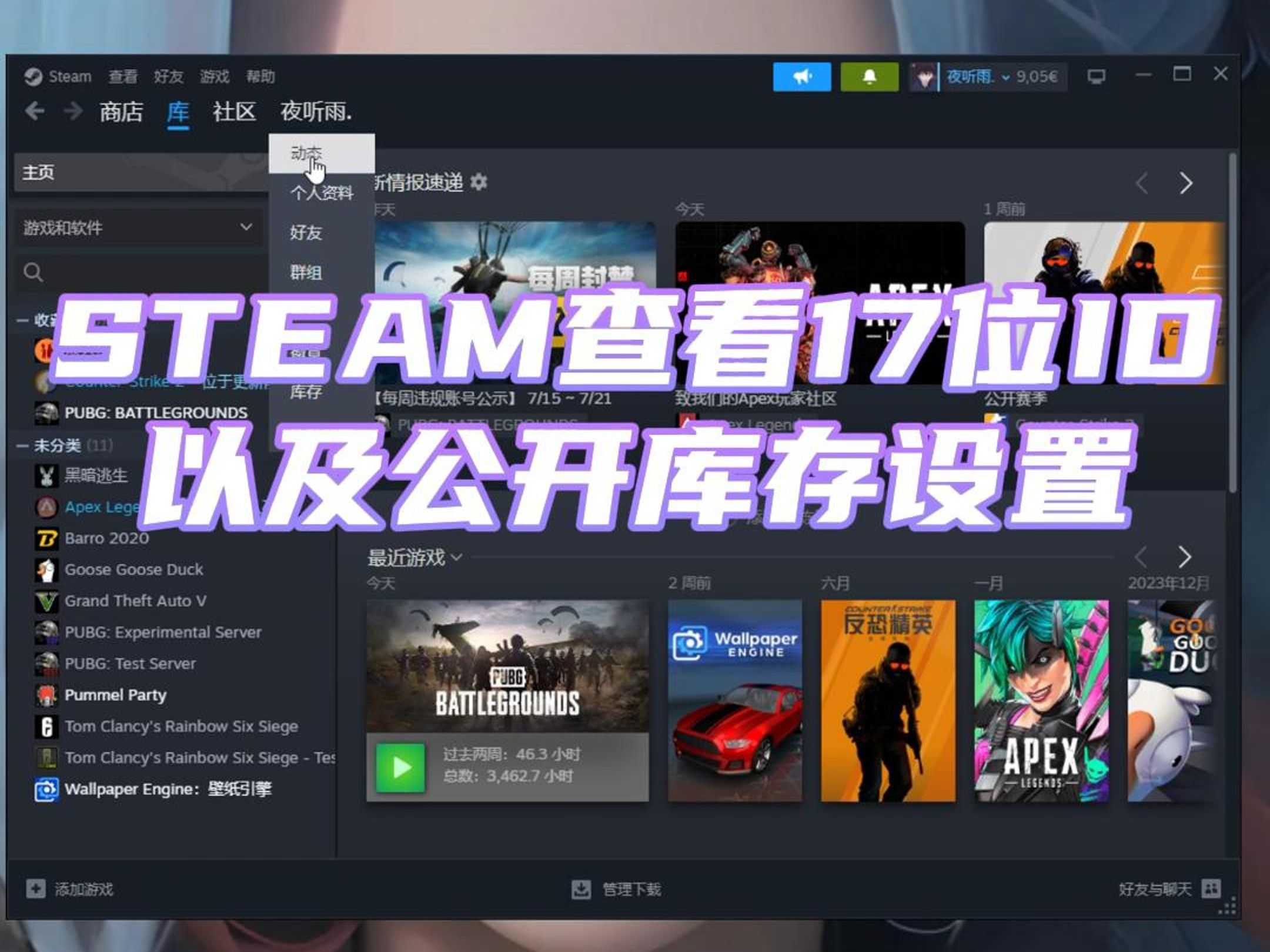 Steam如何查看17位ID以及公开库存教程电子竞技热门视频