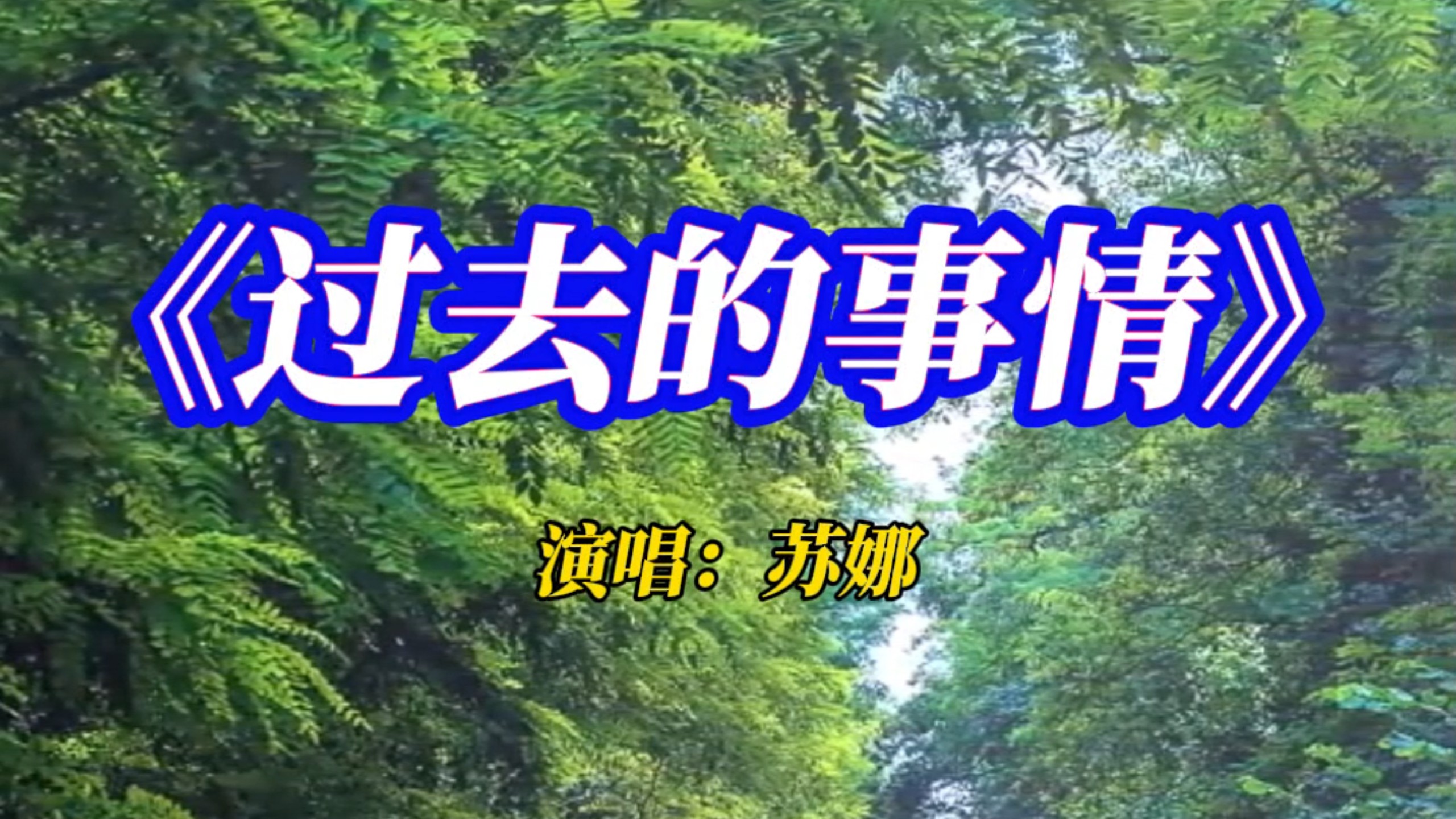 《过去的亊情》苏娜无损音质完整版