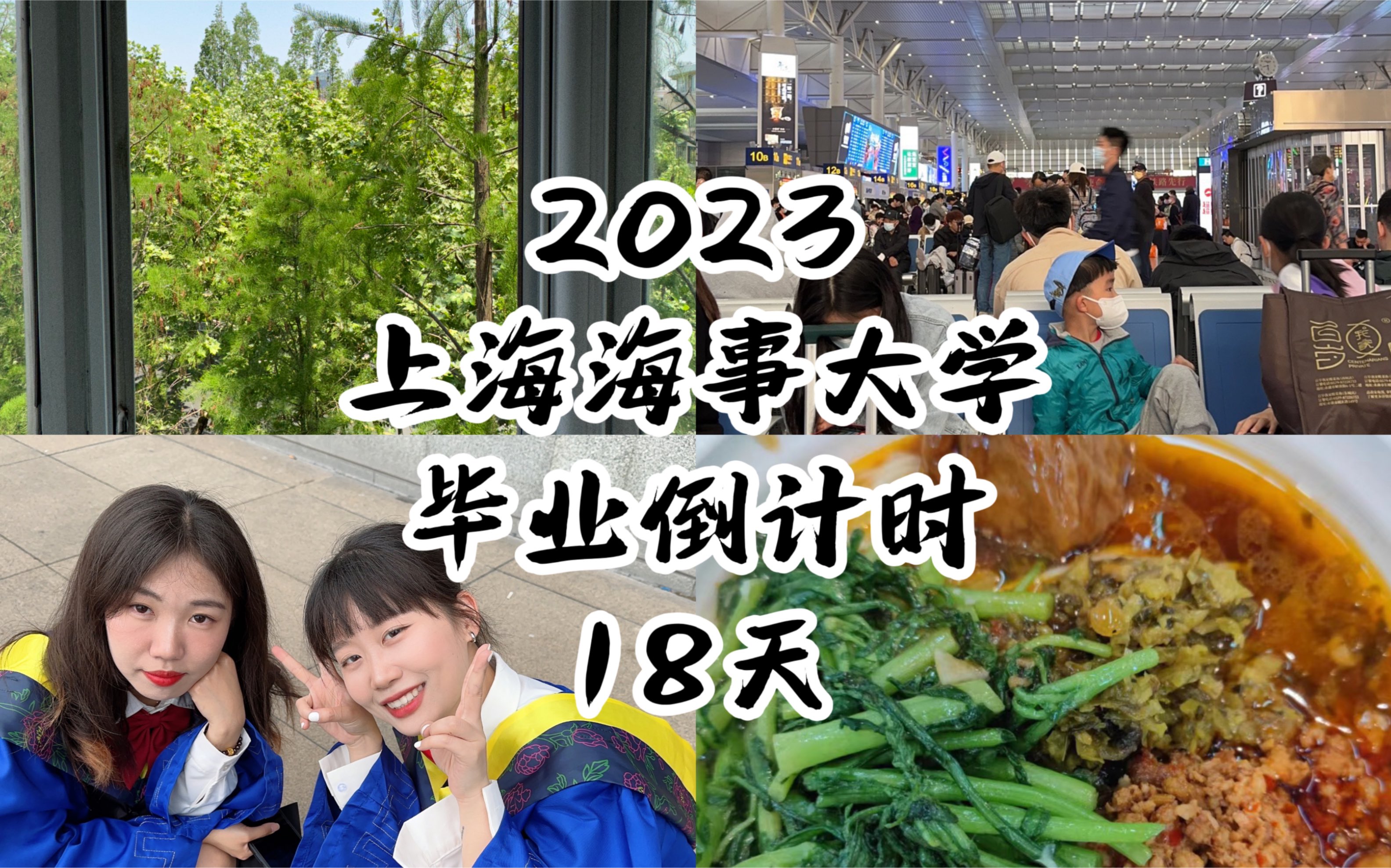 【毕业倒计时18天】上海海事大学|劳动节假期|拍摄毕业照|论文改来改去|准备答辩哔哩哔哩bilibili