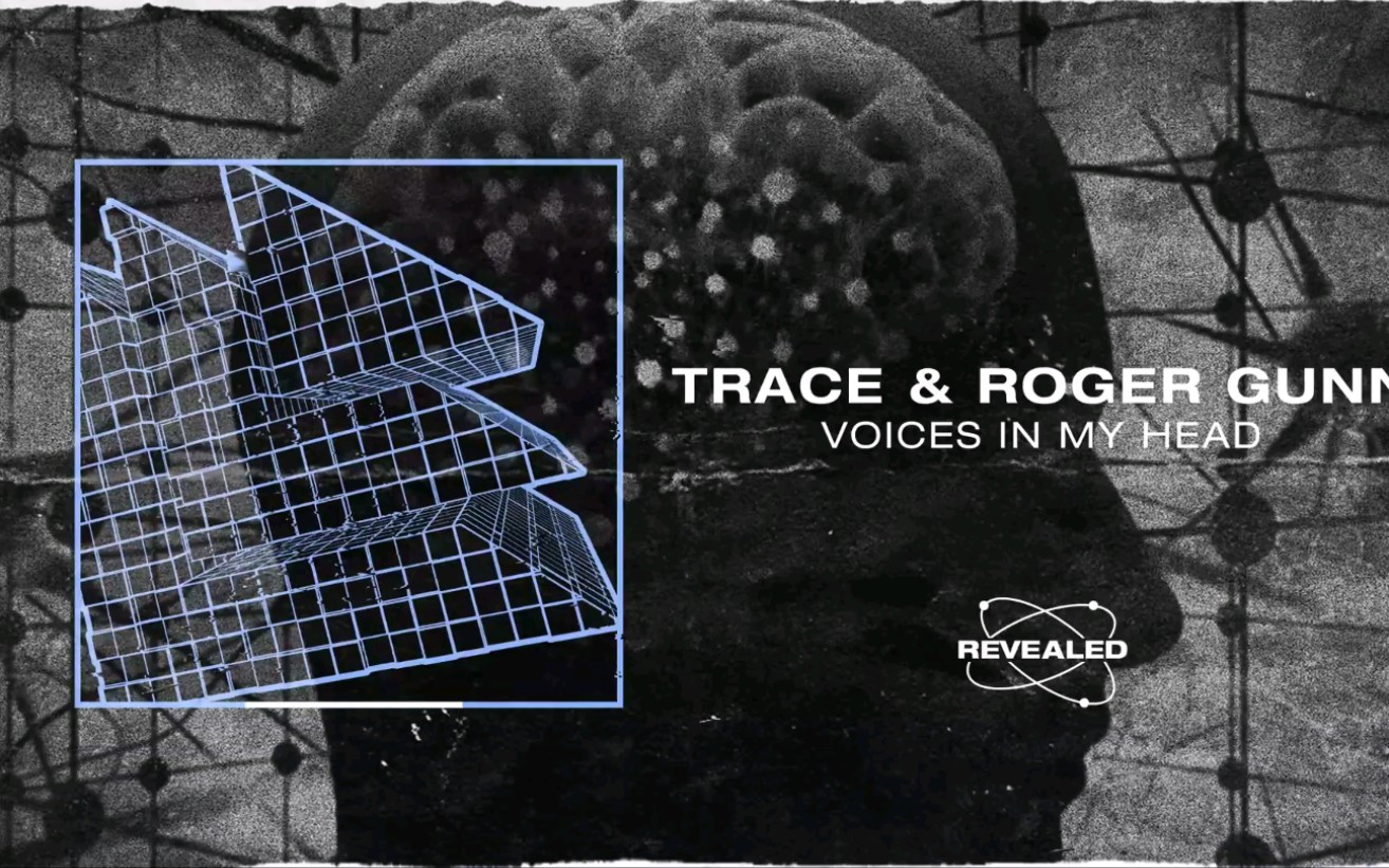 [图]Trace & Roger Gunn - Voices in My Head [Revealed Radar]