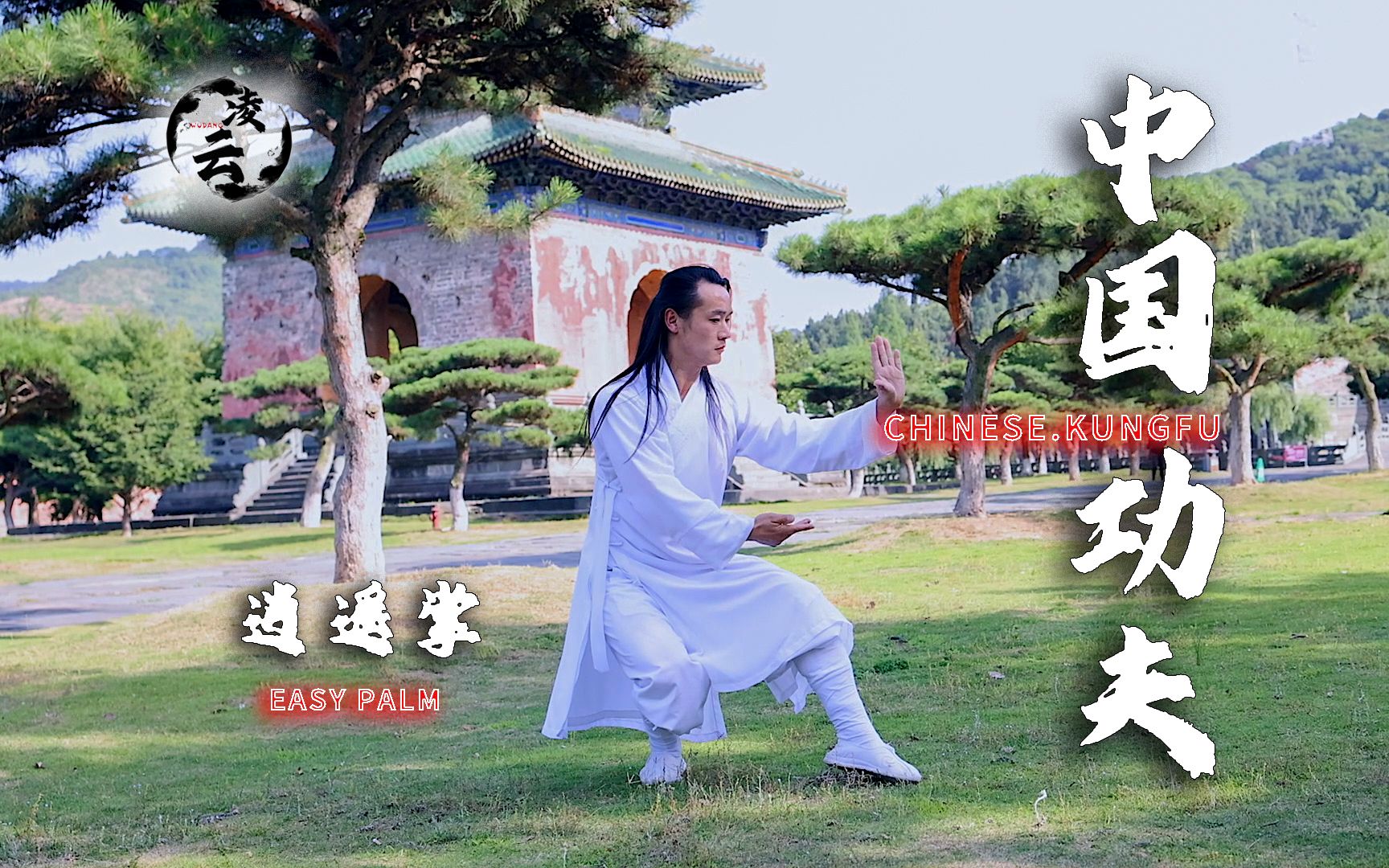 带你看看不一样的掌法,一念逍遥,武当山逍遥掌_哔哩哔哩_bilibili