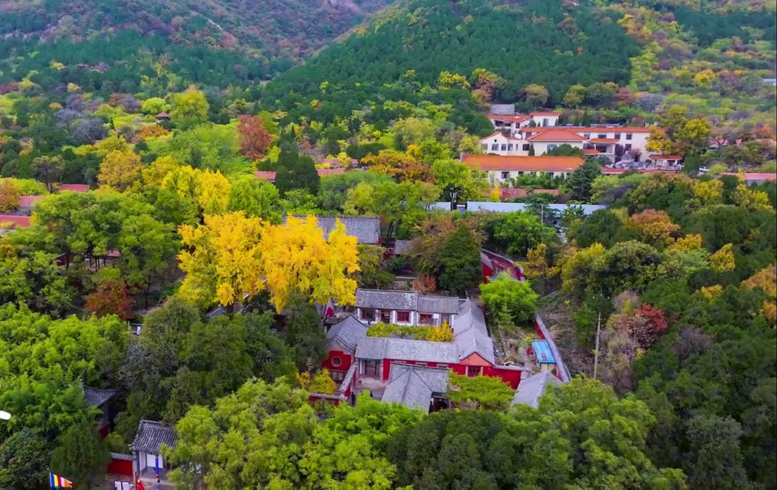 千年古刹普照寺,醉美金秋映禅心哔哩哔哩bilibili