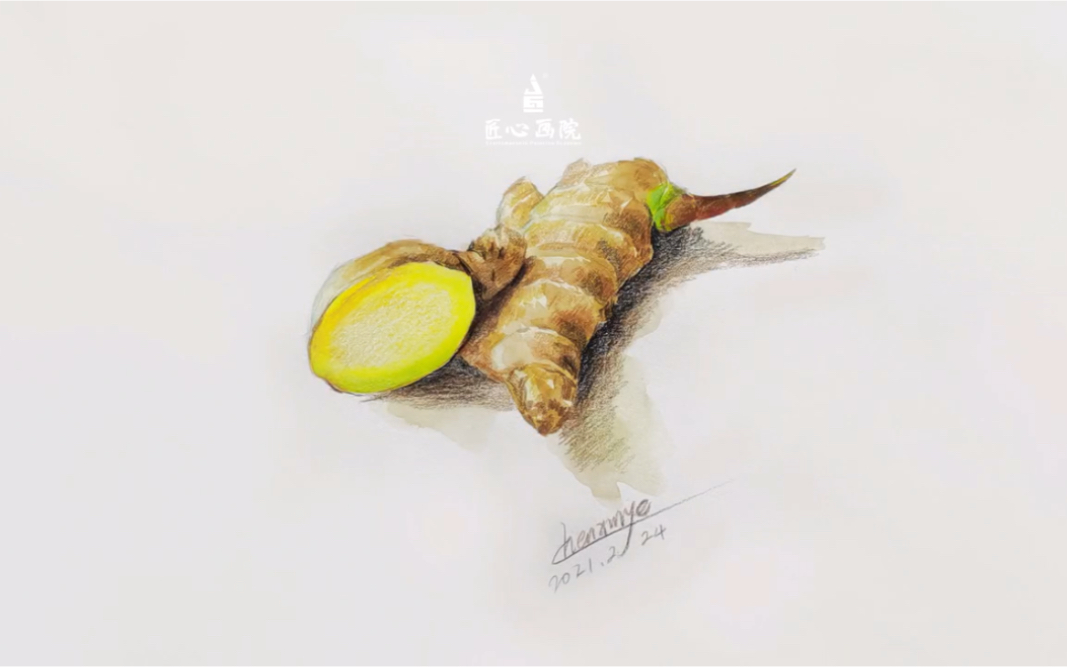 彩铅/水彩——第五期《生姜》《香菇》《粽子》《麻花》的表现技法