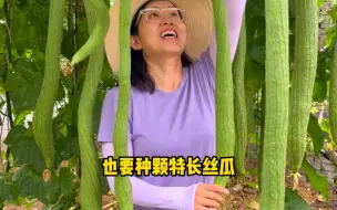 下载视频: 开春一定要种颗特长丝瓜！