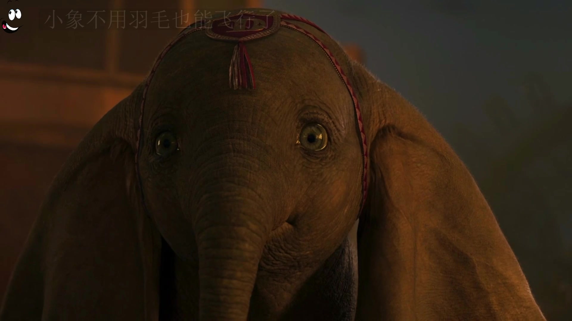 小飞象和妈妈终于自由 小飞象真人版(三)