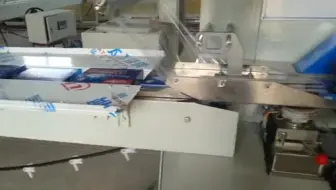 化妆品-全自动枕式包装机