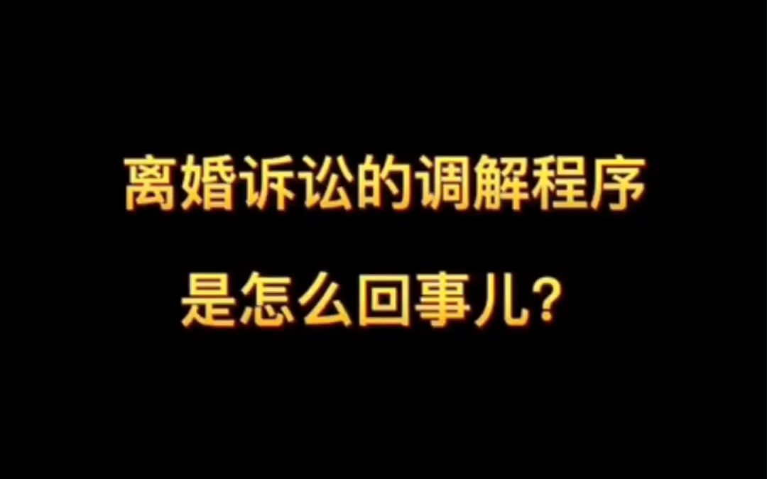 离婚诉讼的调解程序是怎么回事儿?哔哩哔哩bilibili