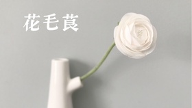 花花 树脂粘土花教程 芍药花 下 哔哩哔哩 つロ干杯 Bilibili