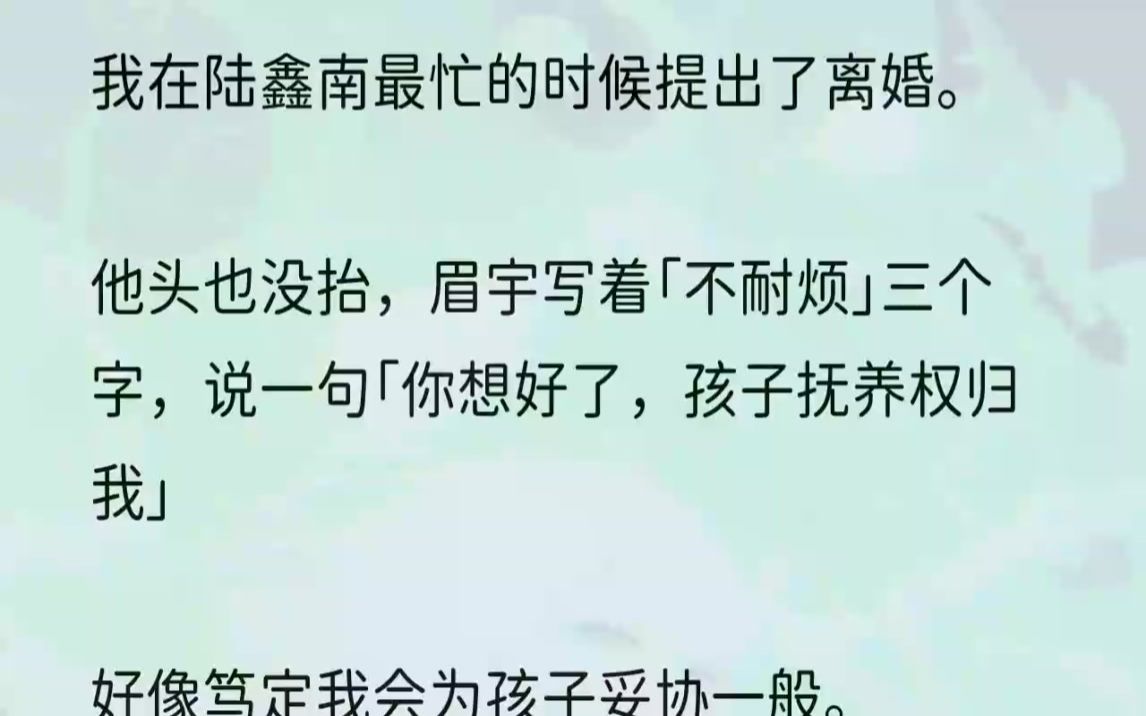 (全文完结版)他给他的白月光打离婚官司,打了三年,对方依旧没离成.也就陆鑫南对他的白月光有一层滤镜,总觉得其中原因复杂交错,稍有不慎,白月...