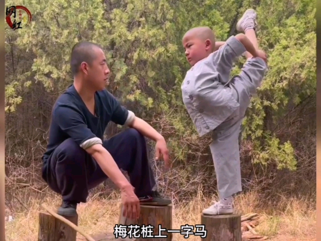 少林三宝:3岁萌娃拜师少林寺习武,王宝强是师兄,杨迪是他徒弟