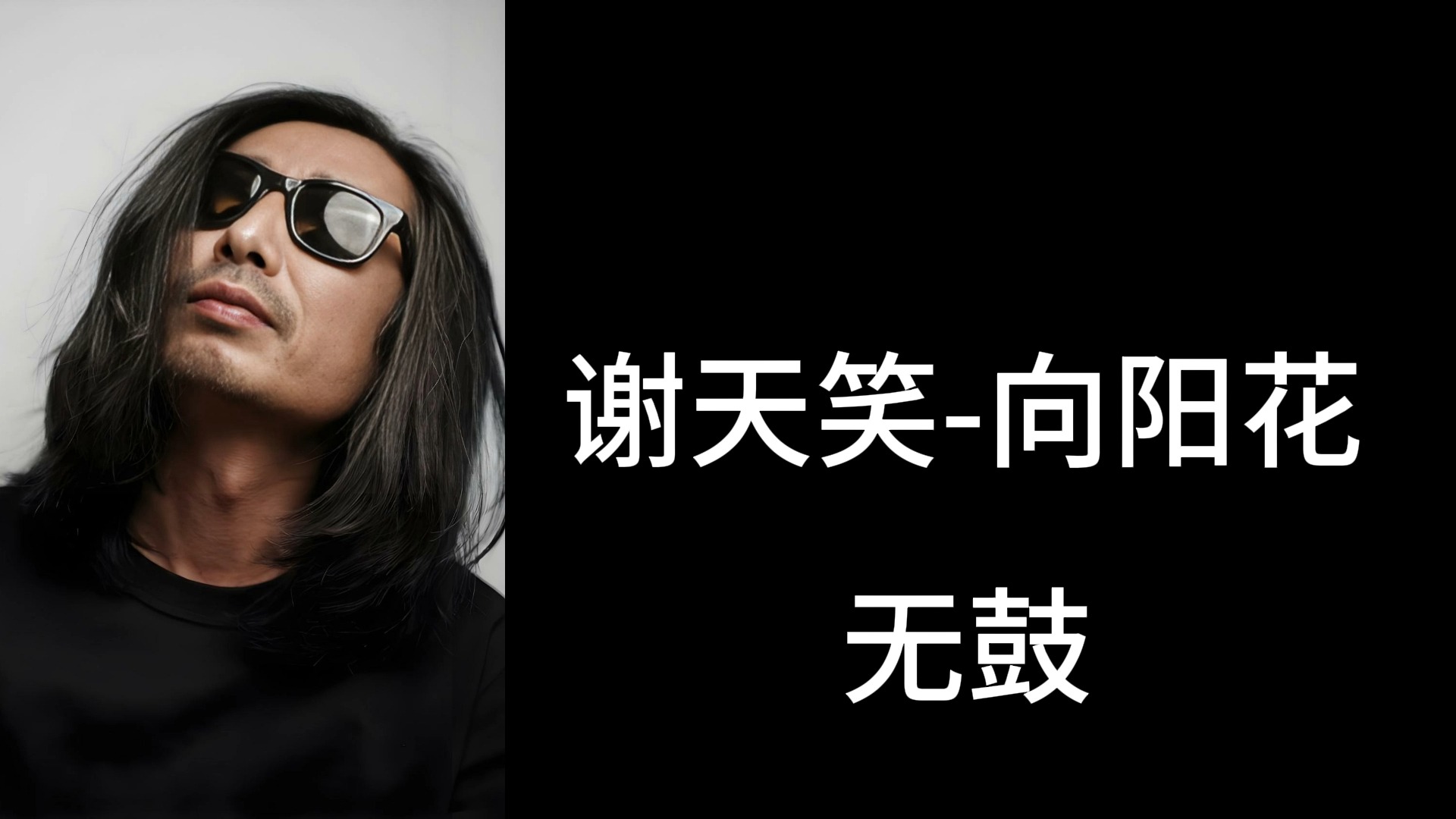 谢天笑-向阳花（无吉他伴奏、无鼓伴奏、无贝斯伴奏、无人声伴奏）