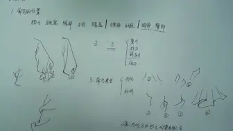 【手绘漫画基础教程】怎样找准衣服褶皱位置？首先还是先要了解人体结构！画好衣褶没那么难