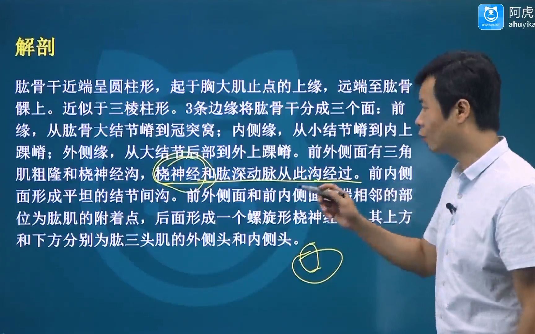 [图]2022最新 骨外科学主任医师 骨外科副高 顶级名师 视频课程 全部有