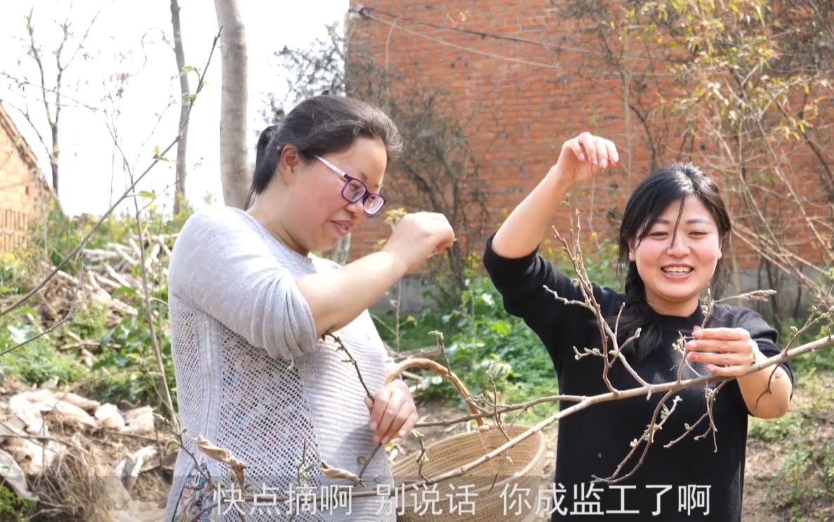 农村常见的这种野果,外形像毛毛虫,市场价很高,春季一定不要错过!哔哩哔哩bilibili