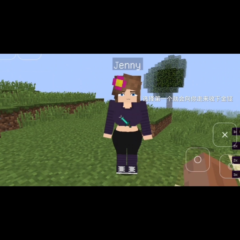 我的世界珍妮