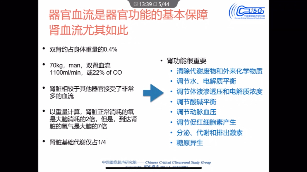 重症超声肾脏血流动力学评估哔哩哔哩bilibili