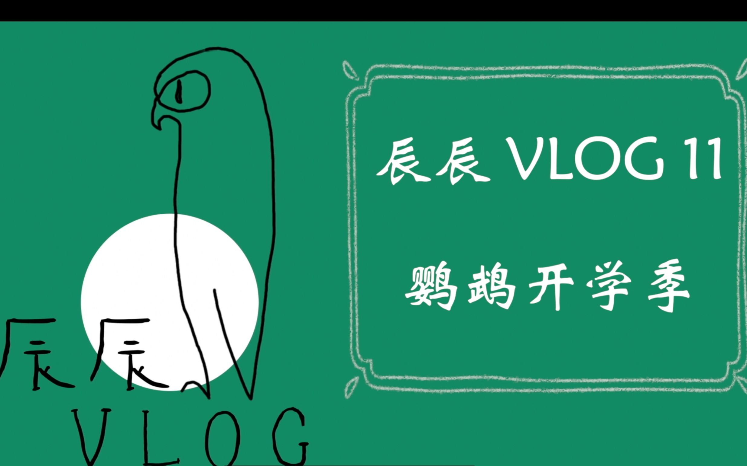 辰辰 Vlog 11哔哩哔哩bilibili