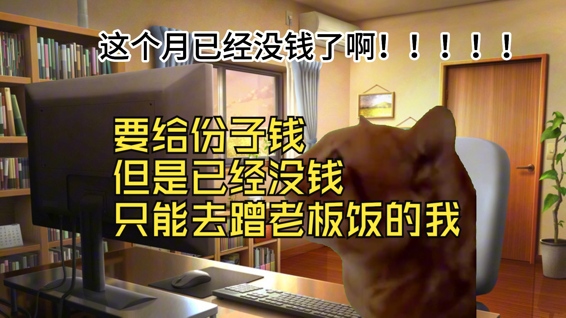 【猫meme日常动画】要给份子钱但是已经没钱只能去蹭老板饭的我哔哩哔哩bilibili