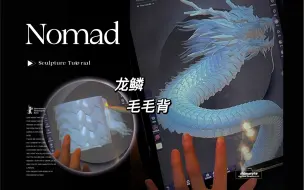 Download Video: Nomad 龙鳞龙毛简单方法 省内存版