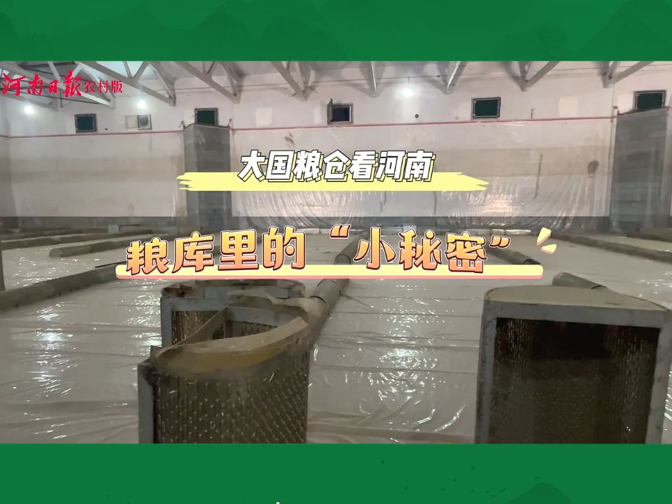 河南日报关注中储粮:这些“大国粮仓”知识点你知道吗?哔哩哔哩bilibili