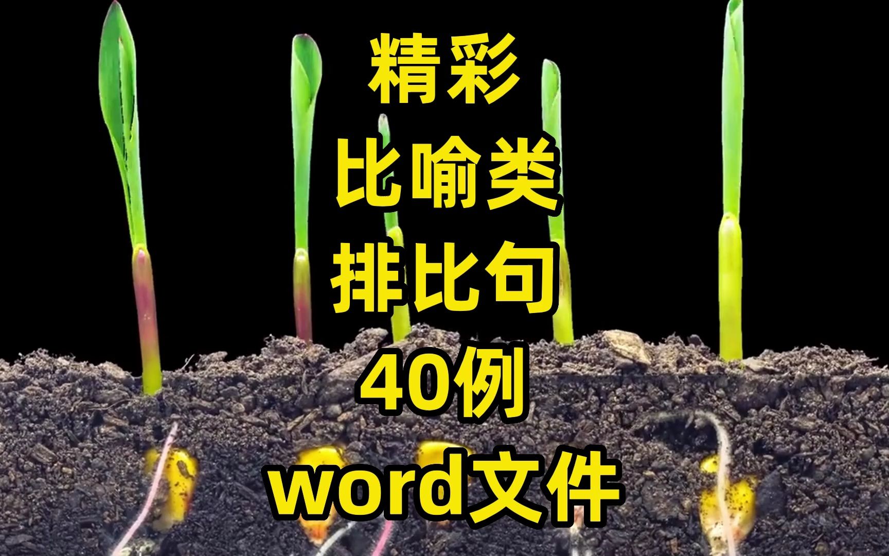 精彩比喻类排比句40例,word文件,更多公文写作素材、范文:2gw(加个点)vip哔哩哔哩bilibili