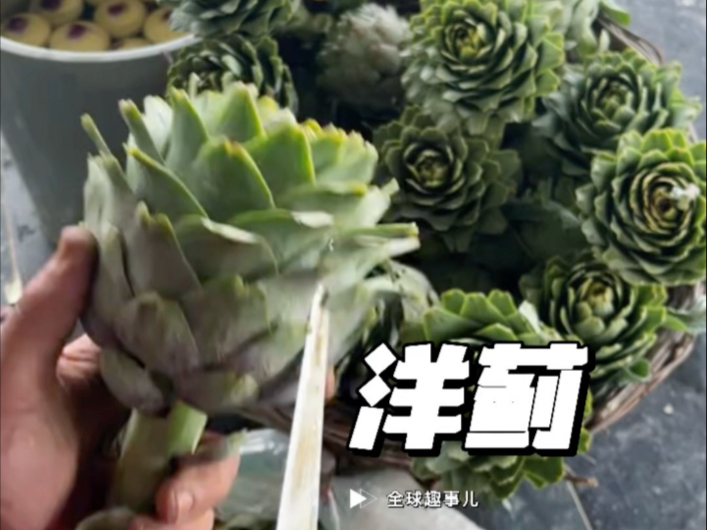 洋蓟原来这么吃？一颗蔬菜只吃最中心的部分