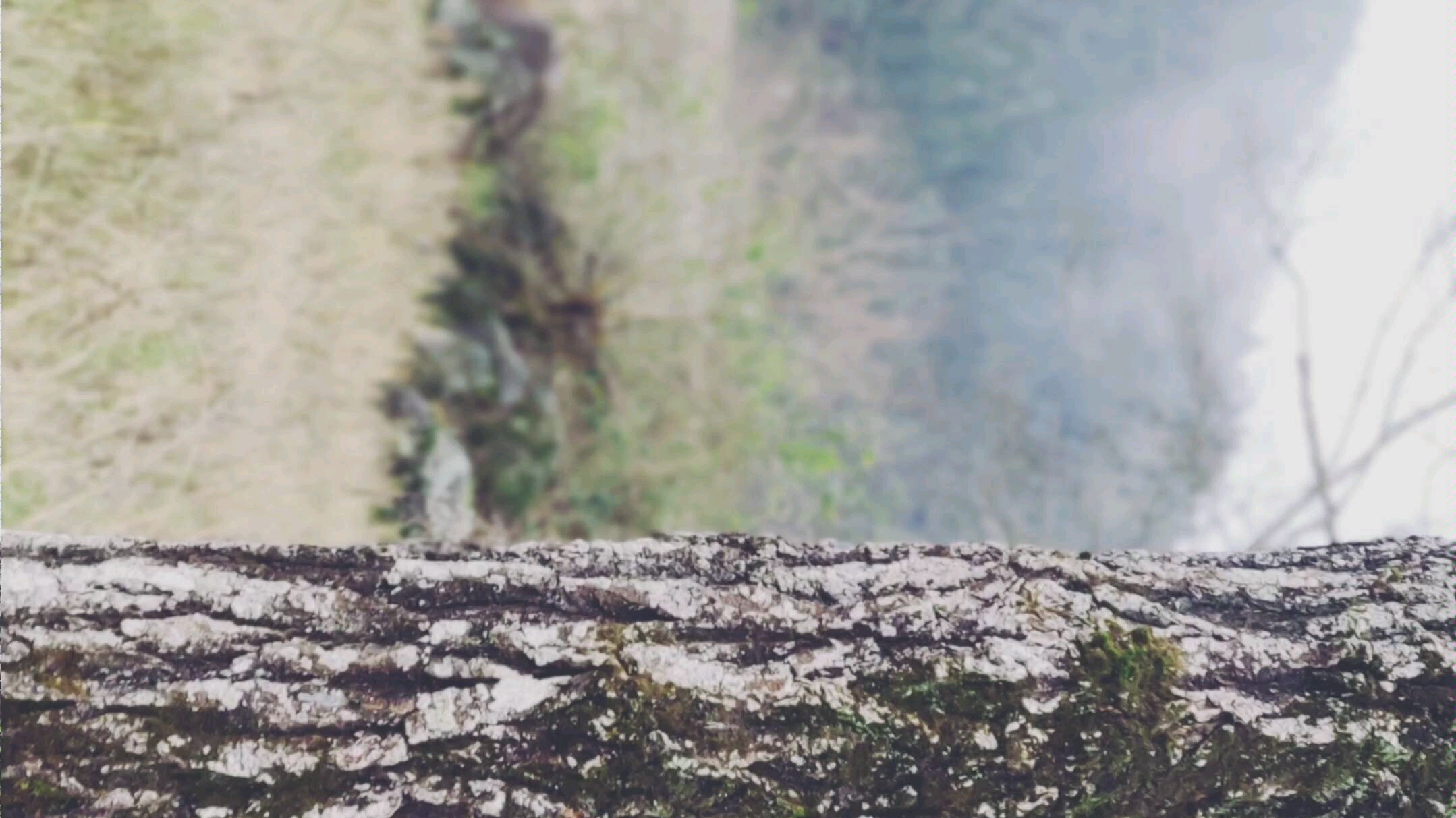 红米k20pro尊享版拍摄 算 是大片吧 求三连