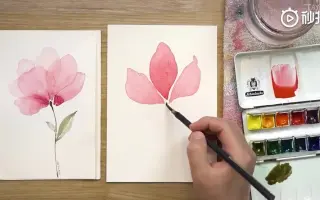 水彩花卉 哔哩哔哩 Bilibili