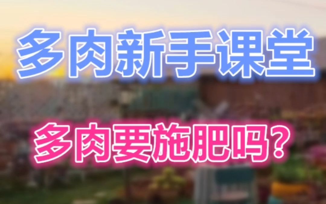 多肉需要施肥吗?哔哩哔哩bilibili