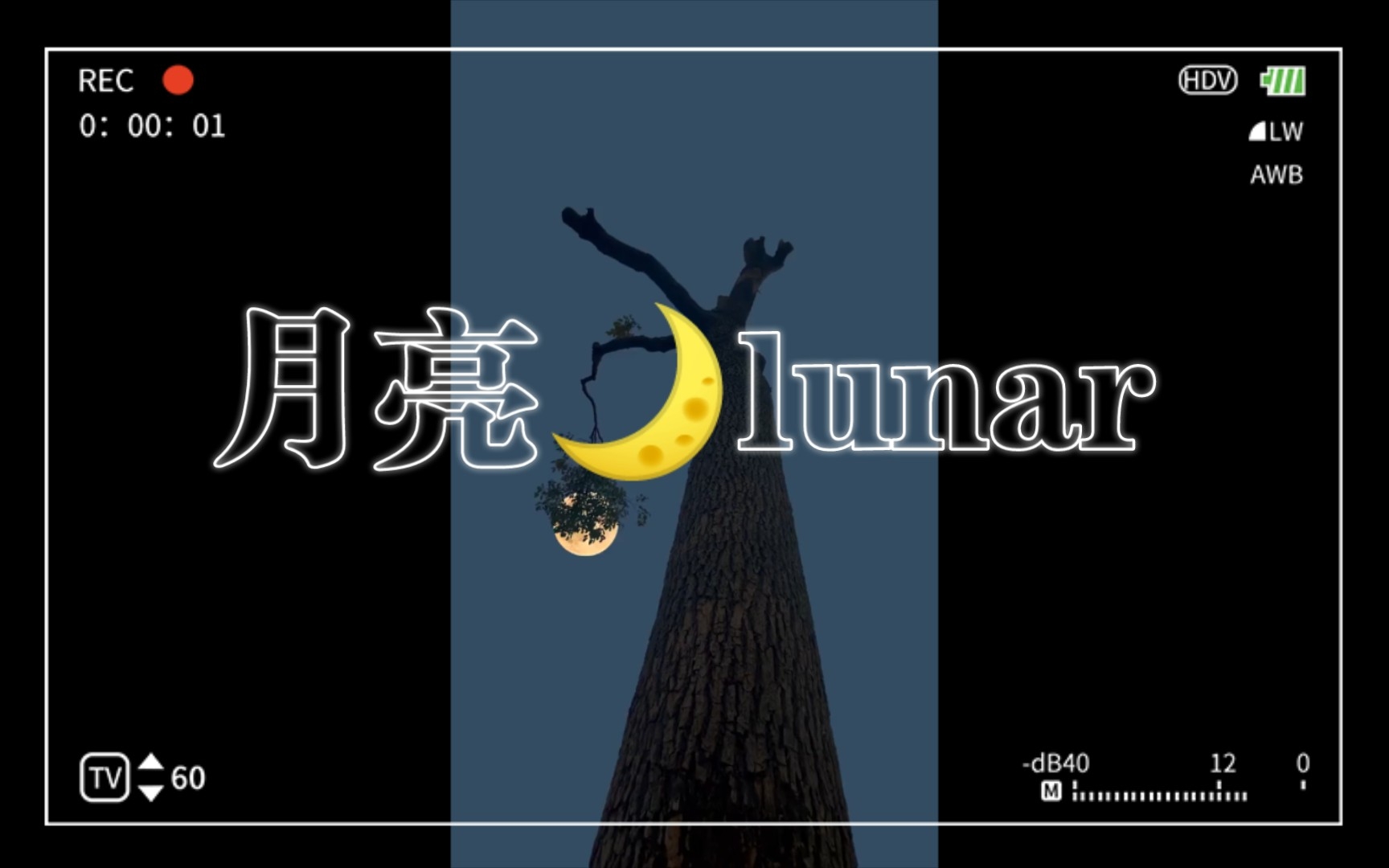 月亮𐟌™lunar的单词起源故事哔哩哔哩bilibili