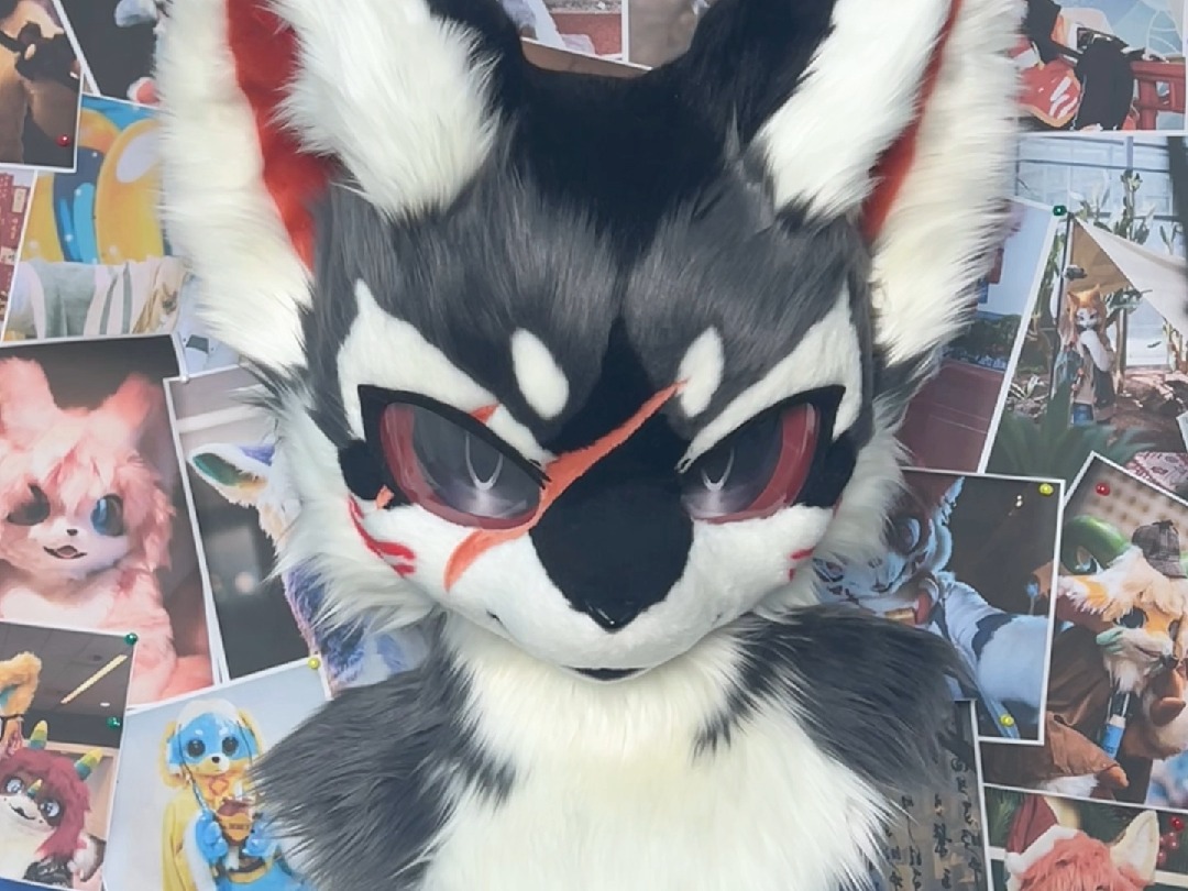 男友力爆棚的刀疤狼