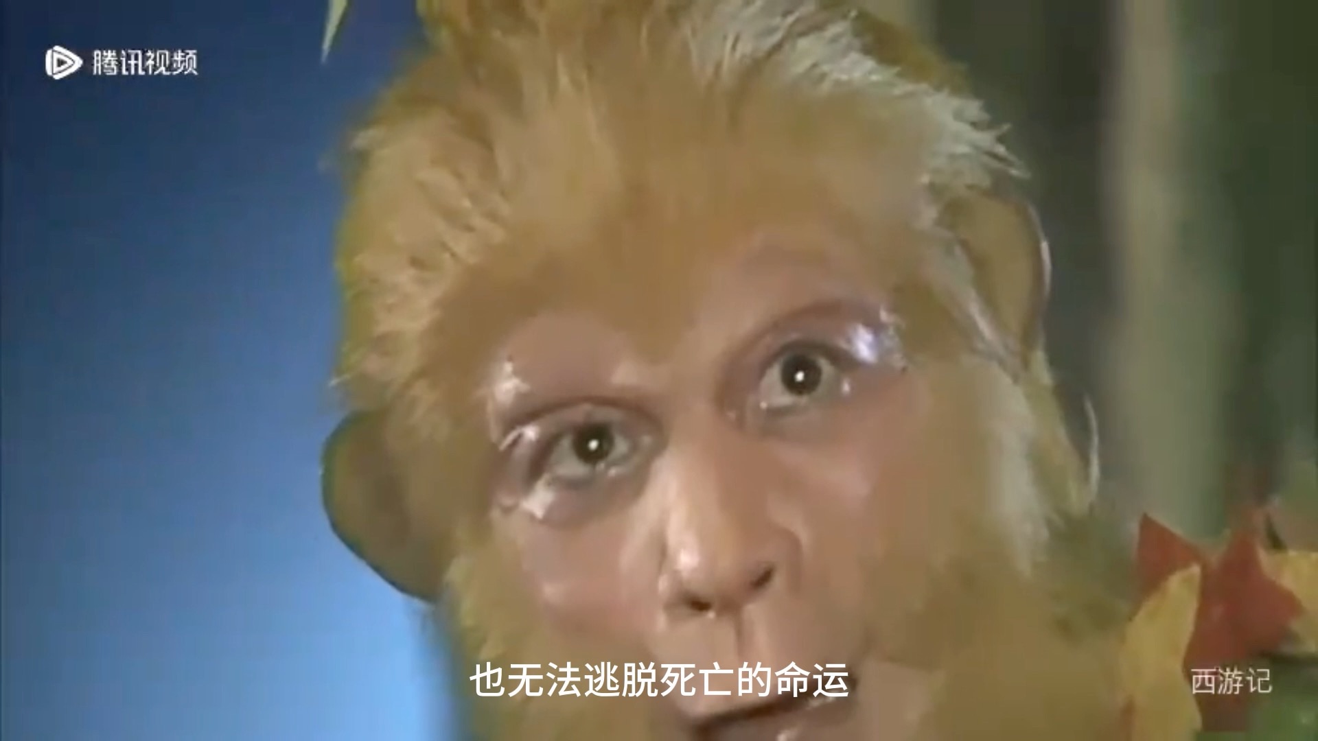 【电视剧《西游记》】第一集-猴王初问世-#重温经典老剧#老剧剪影