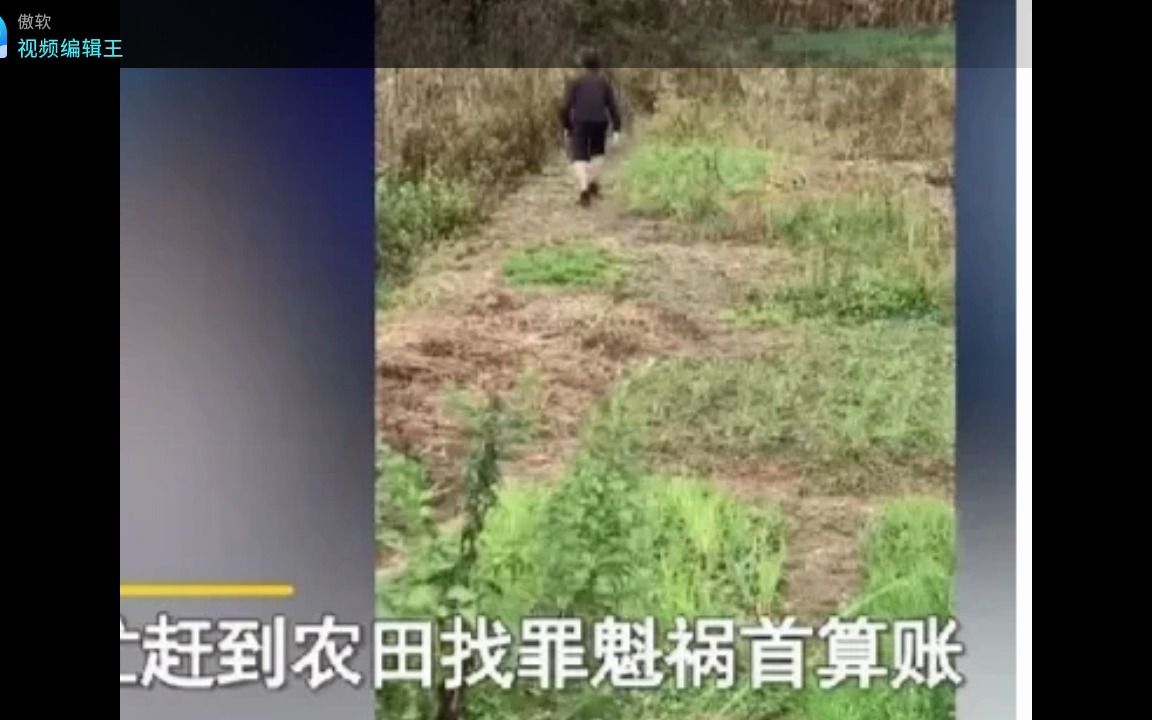 大一新生入学3天篮球场猝死学校通报与当农大学生的毕业论文被吃掉哔哩哔哩bilibili