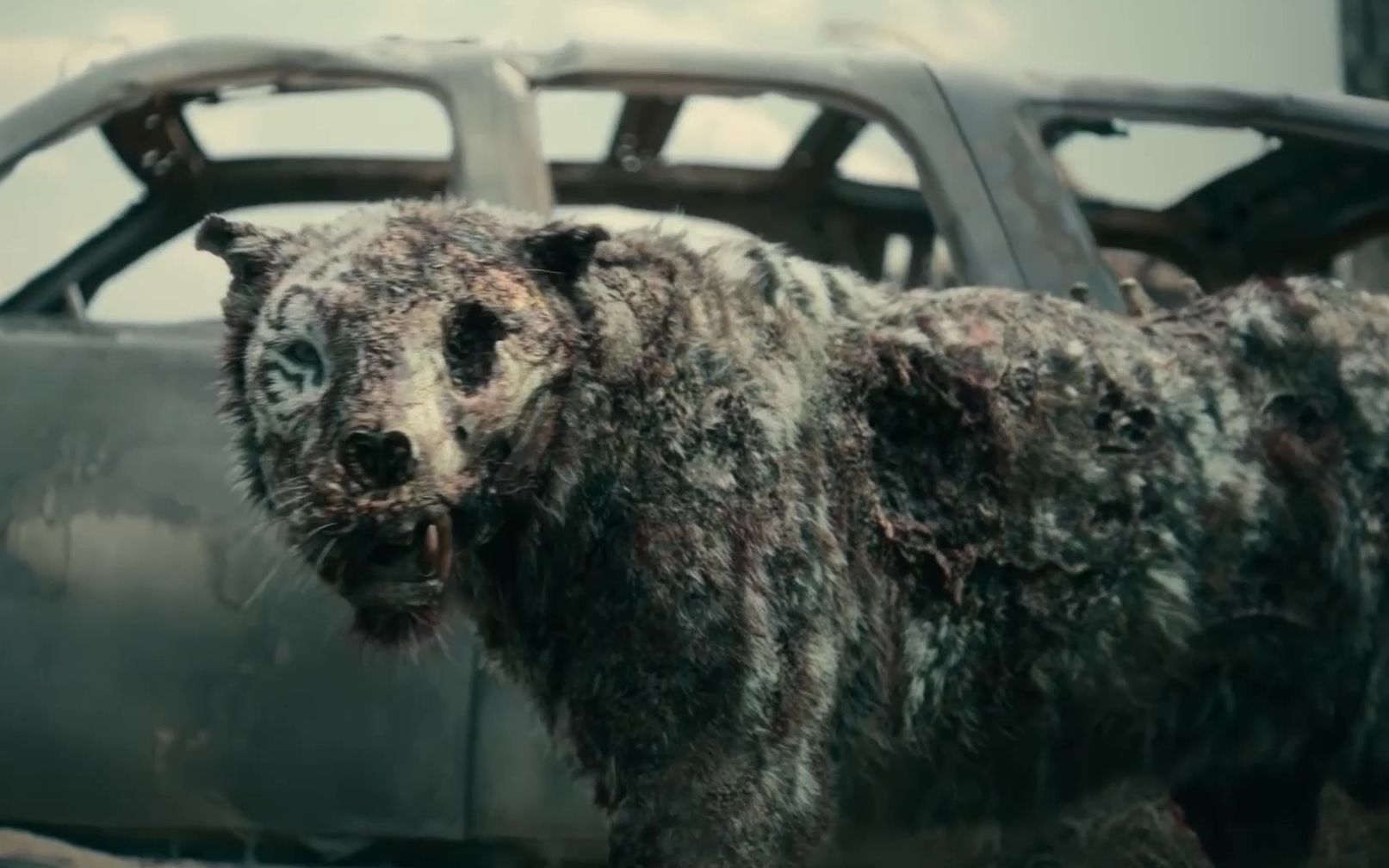 1080p死亡之师正义联盟扎克施耐德执导变异僵尸老虎大闹拉斯维加斯