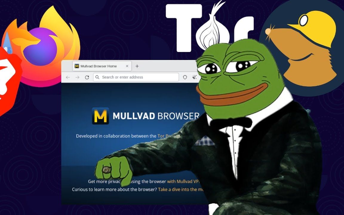 Mullvad浏览器?取代强化火狐?你的电子指纹是什么?可以自己去fingerprint.com/demo和amiunique.org试试.你总会被识别并追踪!哔哩哔哩bilibili