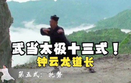 [图]武当功夫？钟云龙道长 武当太极十三式