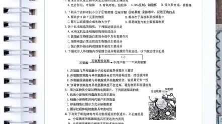 【全科】2024北京市首都师范大学附属中学高一上学期12月月考哔哩哔哩bilibili