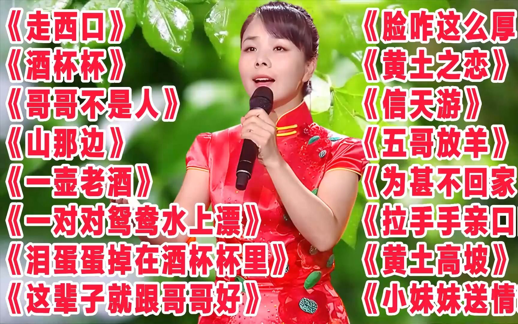 王二妮《走西口》《一壶老酒》《泪蛋蛋掉在酒杯杯里》《脸咋这么厚》