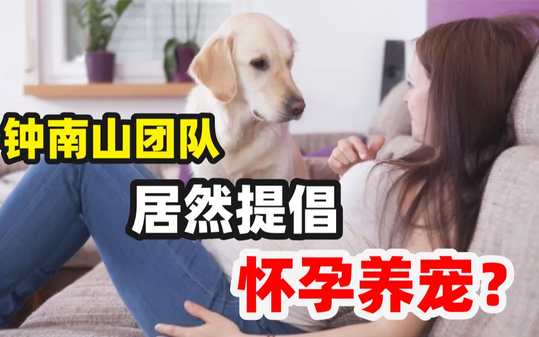 怀孕就要弃养猫狗?不好意思,钟南山团队辟谣了哔哩哔哩bilibili