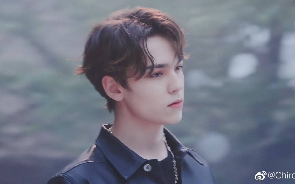 活动  【崔率翰】【vernon】混血帅哥谁不爱