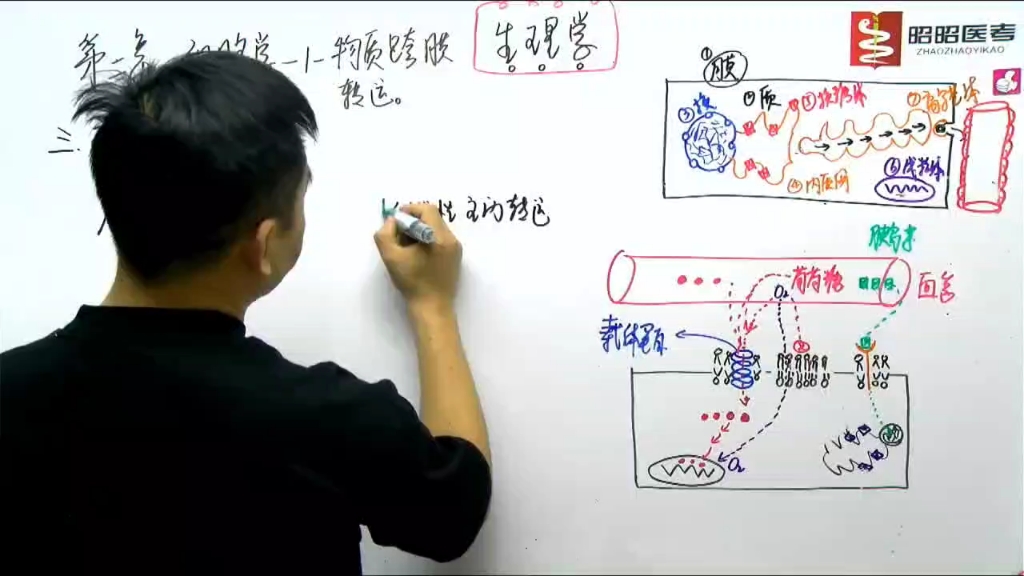 [图]生理学-02-1细胞的基本功能