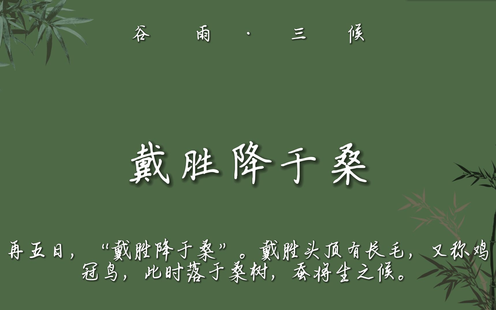 [图]【七十二候·春】中国人从来不吝啬对生活的浪漫。|中国节气文化