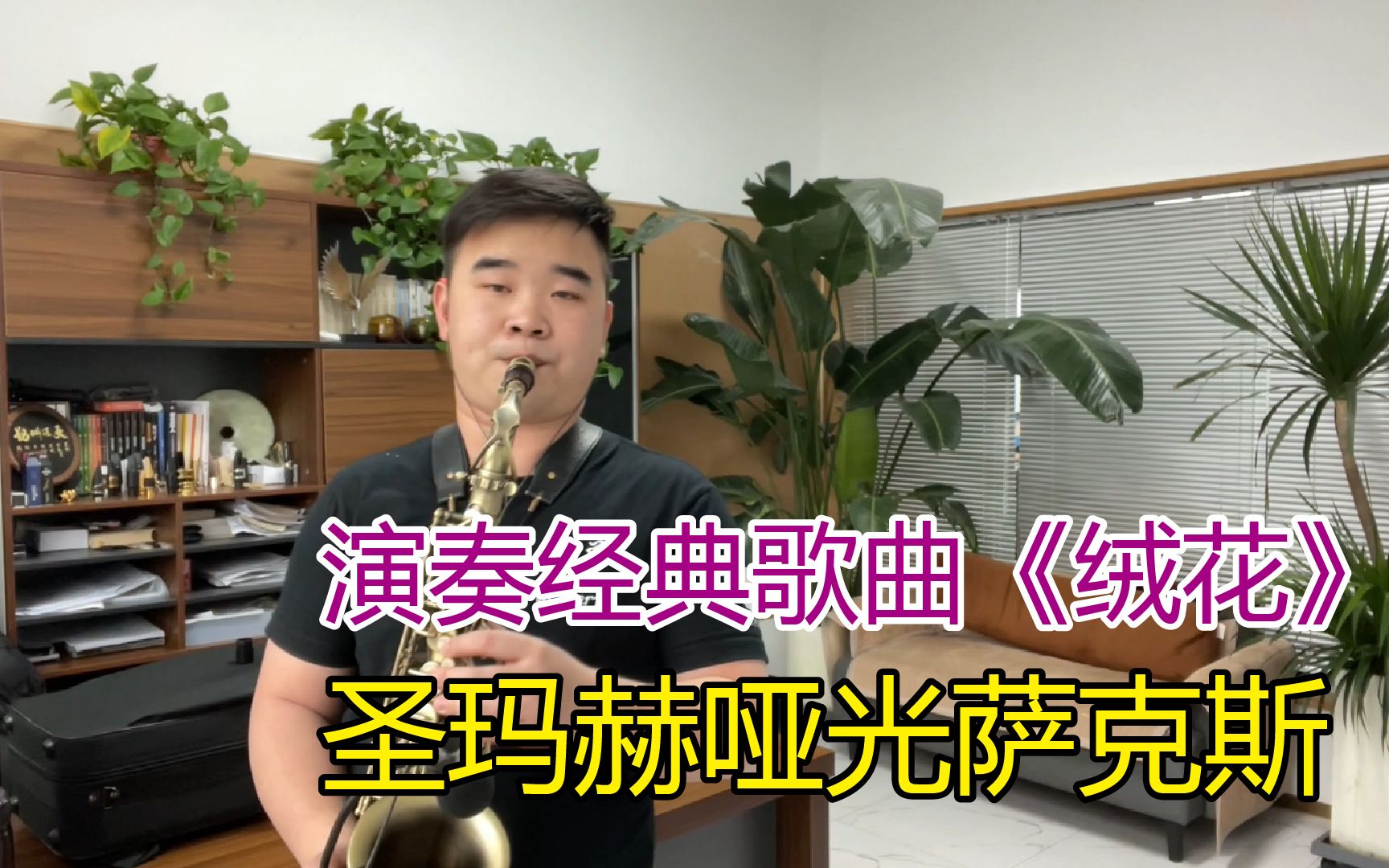 【萨克斯】圣玛赫哑光萨克斯演奏经典歌曲《绒花》旋律优美,太好听了!