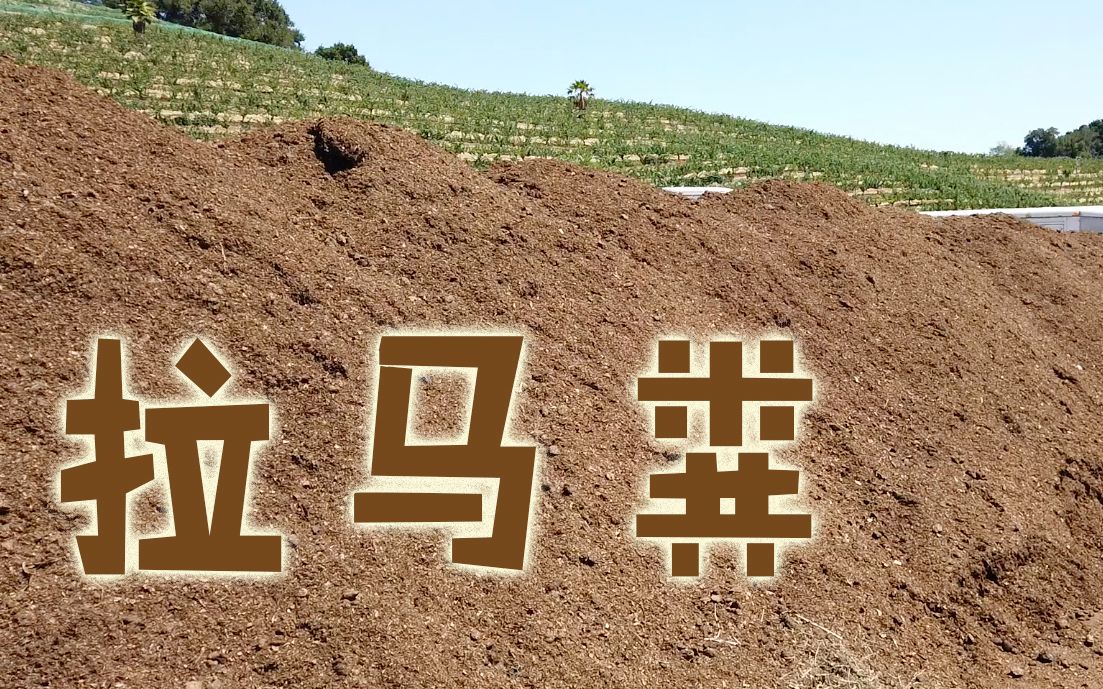 【我在硅谷当农民11】拉马粪,种菜菜!