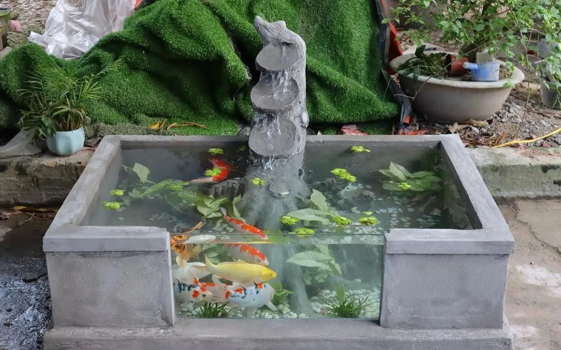 花几百在院里建鱼池,朋友骂我人傻钱多,看见成品当场心服口服
