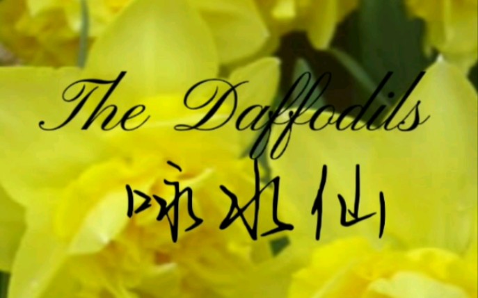 [图]咏水仙The Daffodils