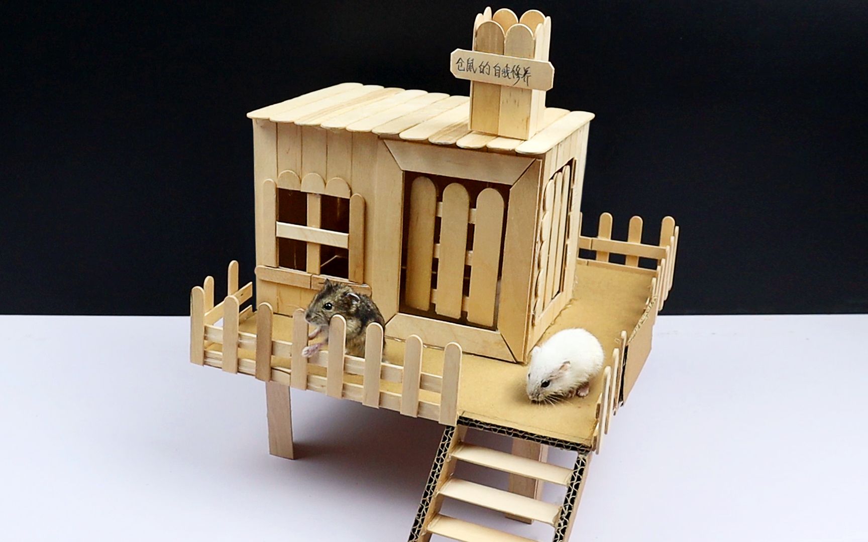 手工为仓鼠宝宝建造一座房子?还带双开门!仓鼠住进去就不愿出来!