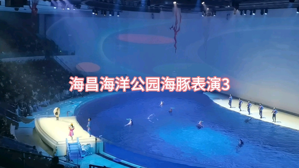 海昌海洋公園海豚表演3